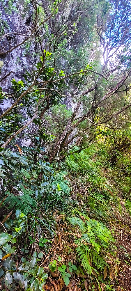 14.06.2024 Traumtour im Rabaçal abseits der Touristenströme — Weiter zum Beijo das Aguas — Foto 2