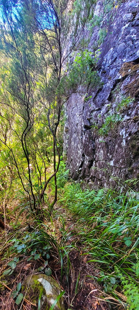 14.06.2024 Traumtour im Rabaçal abseits der Touristenströme — Weiter zum Beijo das Aguas — Foto 3