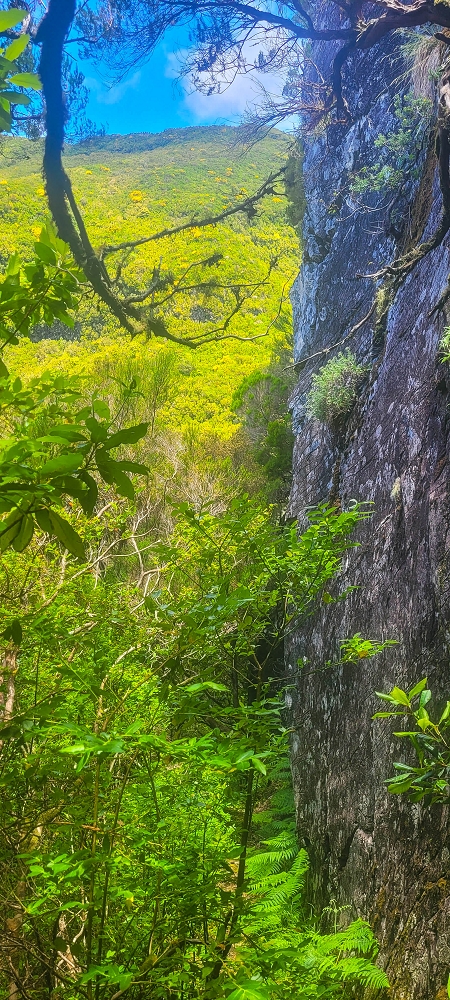 14.06.2024 Traumtour im Rabaçal abseits der Touristenströme — Weiter zum Beijo das Aguas — Foto 4