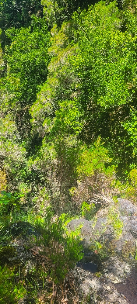 14.06.2024 Traumtour im Rabaçal abseits der Touristenströme — Weiter zum Beijo das Aguas — Foto 6