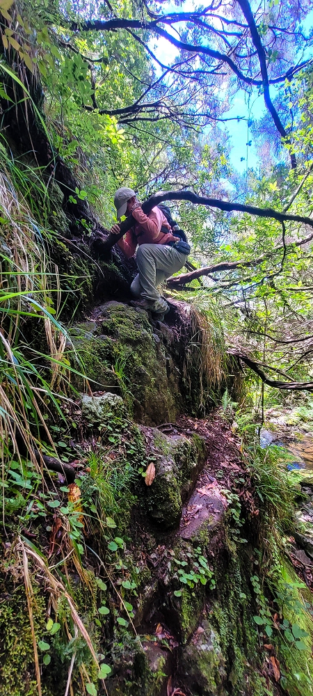 14.06.2024 Traumtour im Rabaçal abseits der Touristenströme — Weiter zum Beijo das Aguas — Foto 8