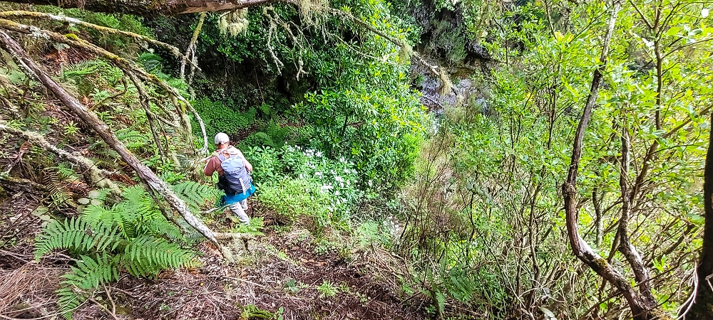 14.06.2024 Traumtour im Rabaçal abseits der Touristenströme — Über den Pico Fernandes zur Senhora und Abstieg zur Ribeira Grande — Foto 12