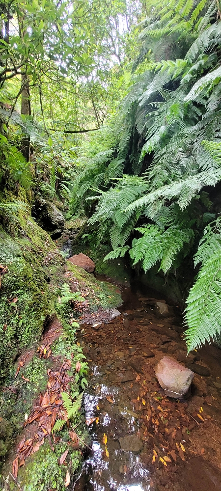 14.06.2024 Traumtour im Rabaçal abseits der Touristenströme — Beijo das Aguas (waterkiss) — Foto 10
