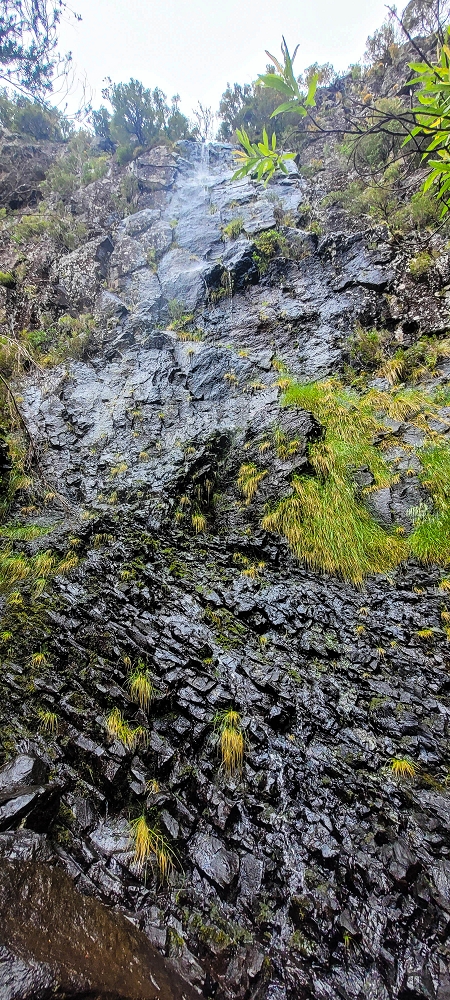 14.06.2024 Traumtour im Rabaçal abseits der Touristenströme — Atemraubender Aufstieg — Foto 6