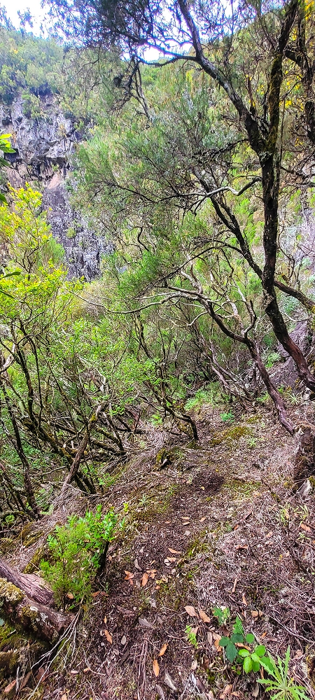 14.06.2024 Traumtour im Rabaçal abseits der Touristenströme — Atemraubender Aufstieg — Foto 7