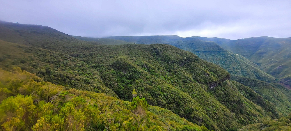 14.06.2024 Traumtour im Rabaçal abseits der Touristenströme — Rückweg zum Pico Fernandes — Foto 1
