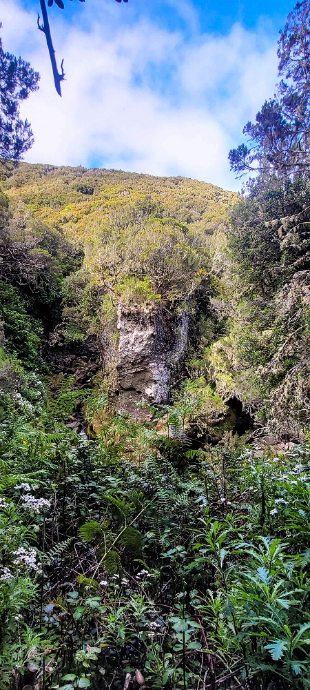 14.06.2024 Traumtour im Rabaçal abseits der Touristenströme — Über den Pico Fernandes zur Senhora und Abstieg zur Ribeira Grande — Foto 13