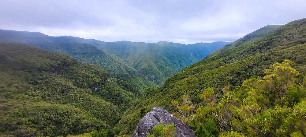 14.06.2024 Traumtour im Rabaçal abseits der Touristenströme — Rückweg zum Pico Fernandes — Foto 2