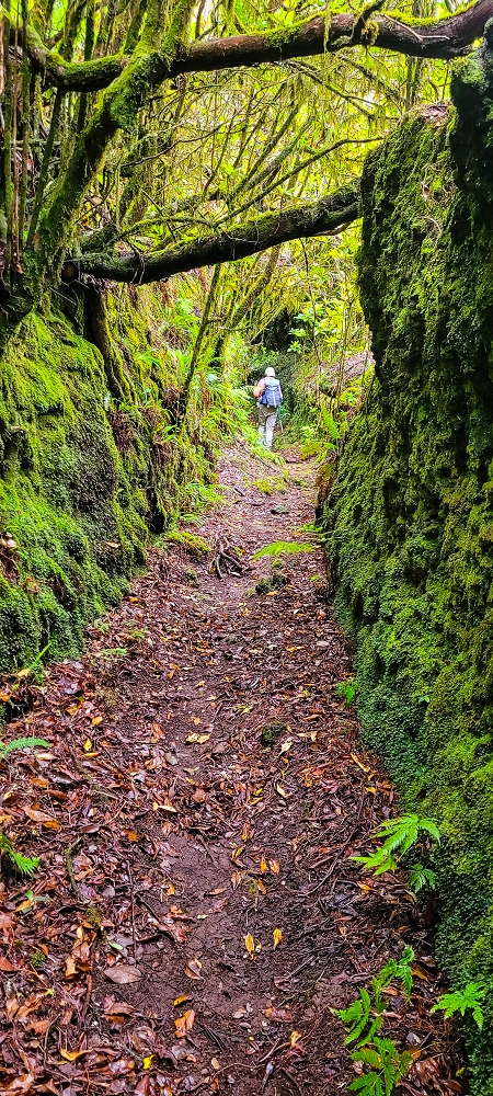 14.06.2024 Traumtour im Rabaçal abseits der Touristenströme — Rückweg zum Pico Fernandes — Foto 3