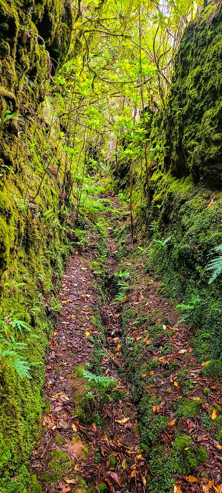 14.06.2024 Traumtour im Rabaçal abseits der Touristenströme — Rückweg zum Pico Fernandes — Foto 4