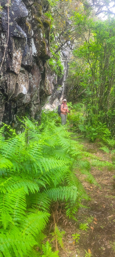 14.06.2024 Traumtour im Rabaçal abseits der Touristenströme — Rückweg zum Pico Fernandes — Foto 5