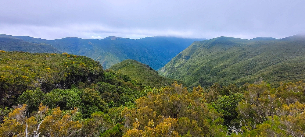 14.06.2024 Traumtour im Rabaçal abseits der Touristenströme — Rückweg zum Pico Fernandes — Foto 6