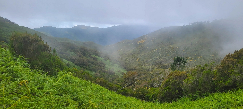 14.06.2024 Traumtour im Rabaçal abseits der Touristenströme — Rückweg zum Pico Fernandes — Foto 9
