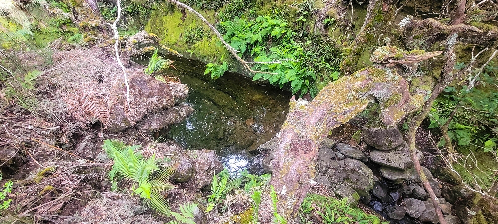 14.06.2024 Traumtour im Rabaçal abseits der Touristenströme — Rückweg zum Pico Fernandes — Foto 10
