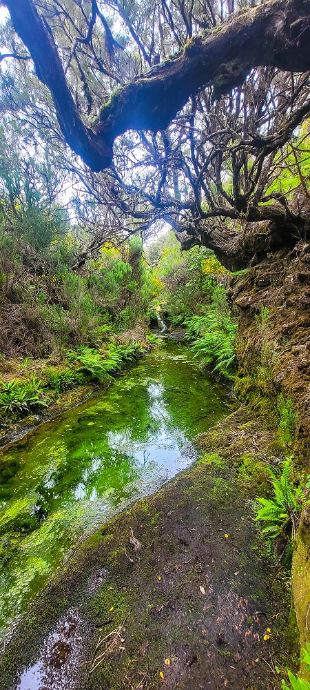 14.06.2024 Traumtour im Rabaçal abseits der Touristenströme — Idyllische Ribeira da Agua Negra — Foto 1