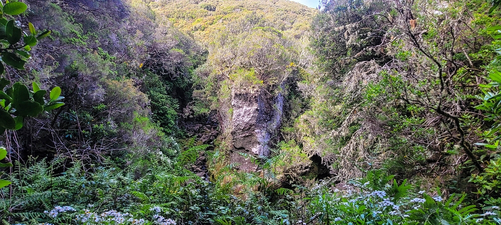 14.06.2024 Traumtour im Rabaçal abseits der Touristenströme — Über den Pico Fernandes zur Senhora und Abstieg zur Ribeira Grande — Foto 14