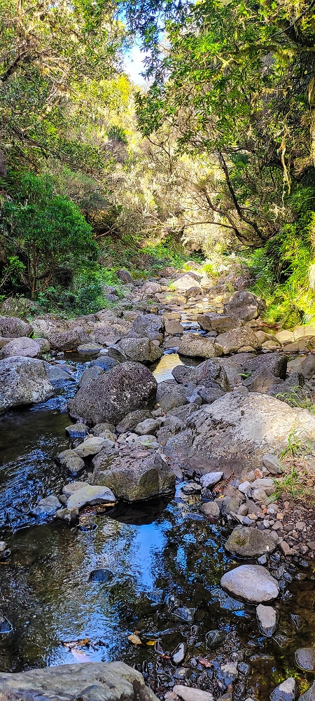 14.06.2024 Traumtour im Rabaçal abseits der Touristenströme — Kreuzung der Levada da Senhora mit der Ribeira Grande: - Im Bachbett der Ribeira unterhalb der Tunnels — Foto 4