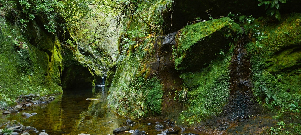 14.06.2024 Traumtour im Rabaçal abseits der Touristenströme — Kreuzung der Levada da Senhora mit der Ribeira Grande: - Im Bachbett der Ribeira flussaufwärts — Foto 8