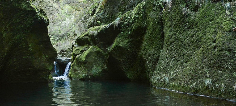 14.06.2024 Traumtour im Rabaçal abseits der Touristenströme — Kreuzung der Levada da Senhora mit der Ribeira Grande: - Im Bachbett der Ribeira flussaufwärts — Foto 9