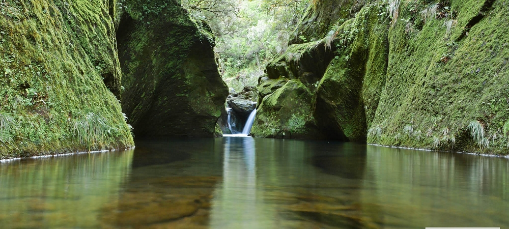 14.06.2024 Traumtour im Rabaçal abseits der Touristenströme — Kreuzung der Levada da Senhora mit der Ribeira Grande: - Im Bachbett der Ribeira flussaufwärts — Foto 10