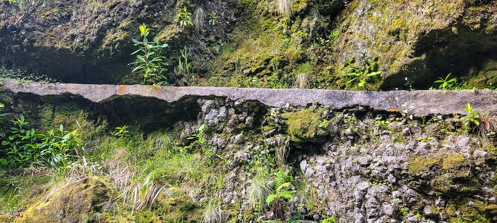 14.06.2024 Traumtour im Rabaçal abseits der Touristenströme — Kreuzung der Levada da Senhora mit der Ribeira Grande: - Im Bachbett der Ribeira flussaufwärts — Foto 4