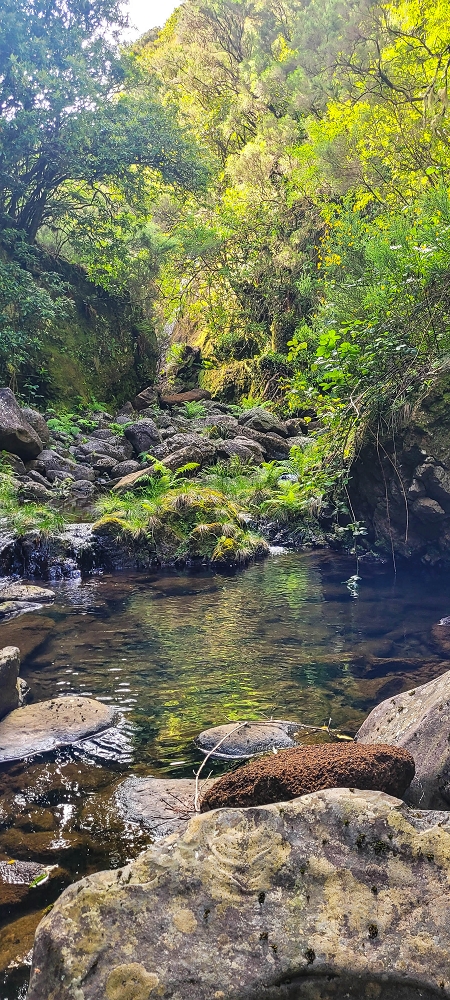 14.06.2024 Traumtour im Rabaçal abseits der Touristenströme — Kreuzung der Levada da Senhora mit der Ribeira Grande: - Im Bachbett der Ribeira flussaufwärts — Foto 6