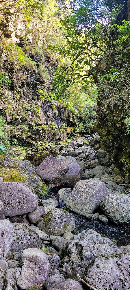 14.06.2024 Traumtour im Rabaçal abseits der Touristenströme — Kreuzung der Levada da Senhora mit der Ribeira Grande: - Im Bachbett der Ribeira flussaufwärts — Foto 11
