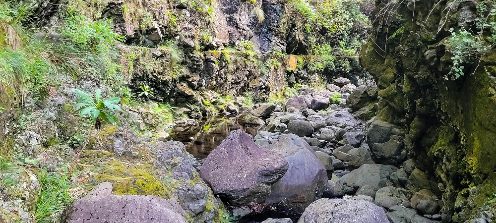 14.06.2024 Traumtour im Rabaçal abseits der Touristenströme — Kreuzung der Levada da Senhora mit der Ribeira Grande: - Im Bachbett der Ribeira flussaufwärts — Foto 12