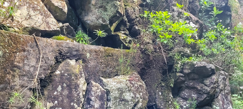 14.06.2024 Traumtour im Rabaçal abseits der Touristenströme — Kreuzung der Levada da Senhora mit der Ribeira Grande: - Im Bachbett der Ribeira flussaufwärts — Foto 14