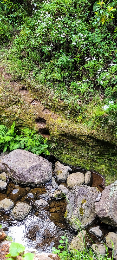 14.06.2024 Traumtour im Rabaçal abseits der Touristenströme — Kreuzung der Levada da Senhora mit der Ribeira Grande: - Die beiden kleinen Tunnels — Foto 3