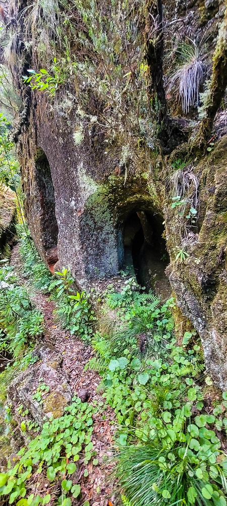 14.06.2024 Traumtour im Rabaçal abseits der Touristenströme — Kreuzung der Levada da Senhora mit der Ribeira Grande: - Die beiden kleinen Tunnels — Foto 10