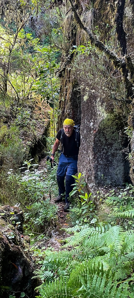 14.06.2024 Traumtour im Rabaçal abseits der Touristenströme — Kreuzung der Levada da Senhora mit der Ribeira Grande: - Die beiden kleinen Tunnels — Foto 12