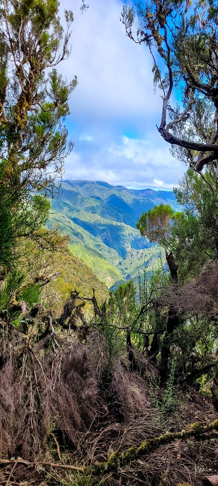 Levada da Senhora (Estreito da Calheta) — Abschnitt 5 erster Teil — Foto 1