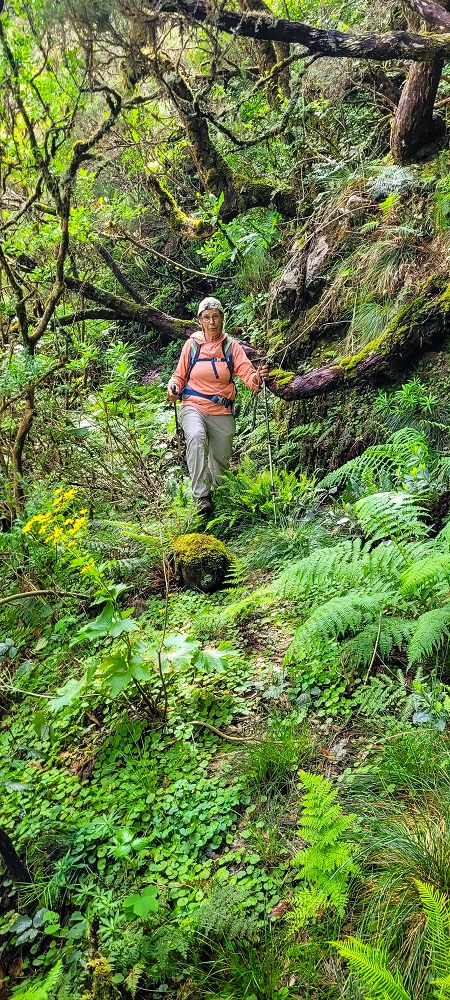 Levada da Senhora (Estreito da Calheta) — Abschnitt 5 erster Teil — Foto 10