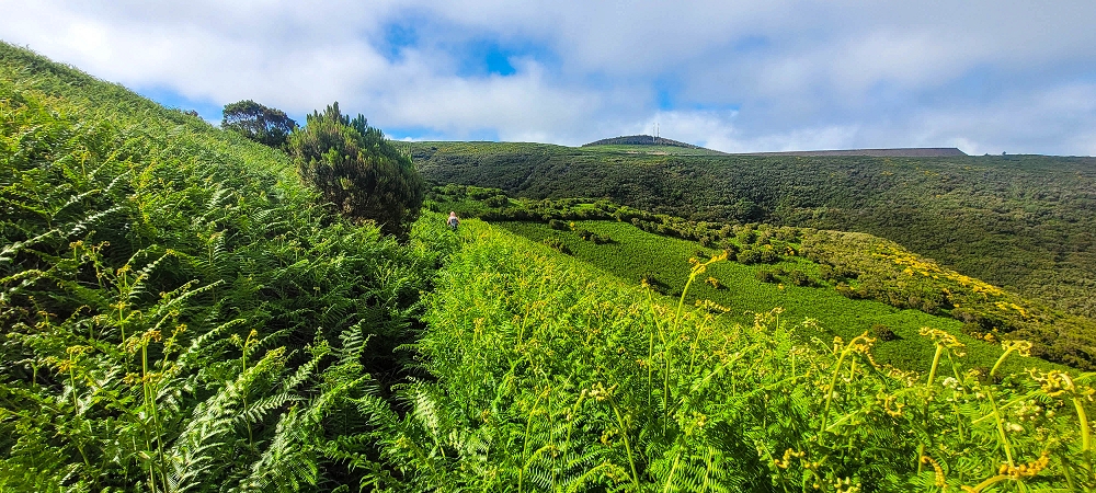 14.06.2024 Traumtour im Rabaçal abseits der Touristenströme — Über den Pico Fernandes zur Senhora und Abstieg zur Ribeira Grande — Foto 7