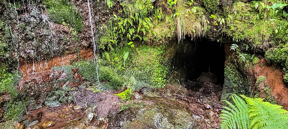 Levada da Senhora (Estreito da Calheta) — Abschnitt 5 erster Teil — Foto 14