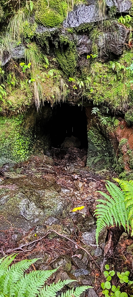 Levada da Senhora (Estreito da Calheta) — Abschnitt 5 erster Teil — Foto 17