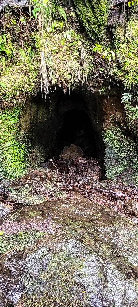 Levada da Senhora (Estreito da Calheta) — Abschnitt 5 erster Teil — Foto 18