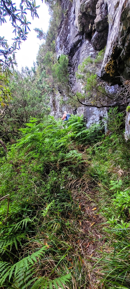14.06.2024 Traumtour im Rabaçal abseits der Touristenströme — Durch die Risco-Felswand zum Poço Redondo — Foto 1