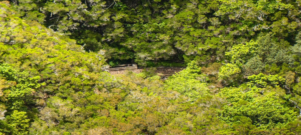 14.06.2024 Traumtour im Rabaçal abseits der Touristenströme — Durch die Risco-Felswand zum Poço Redondo — Foto 3