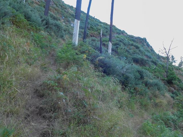 14 August 2017 Levada do Pico do Curral and da Serra de Santo António — From Barreira by a trodden path and the piped levada to the stream-control works — photo 1