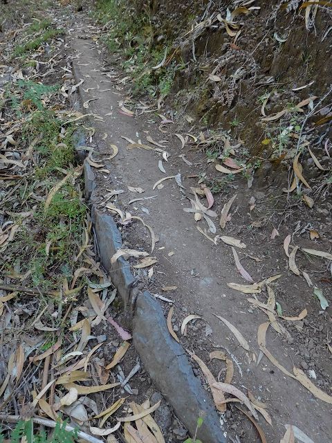 Levada do Pico do Cardo — Verrohrter Abschnitt nach dem Zusammenfluss (2017) — Foto 3