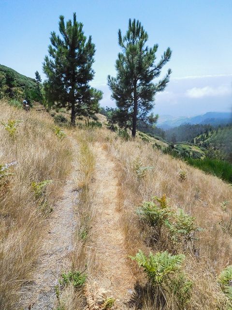 Levada da Negra (e Curral Martinho) — Weiter Richtung Barreira — Foto 6