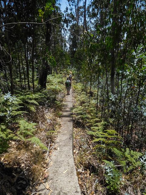 Levada da Negra (e Curral Martinho) — Weiter Richtung Barreira — Foto 9