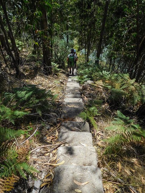 Levada da Negra (e Curral Martinho) — Weiter Richtung Barreira — Foto 11