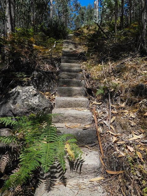 Levada da Negra (e Curral Martinho) — Weiter Richtung Barreira — Foto 12