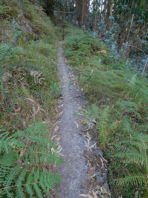 Levada do Pico do Cardo — Verrohrter Abschnitt nach dem Zusammenfluss (2017) — Foto 1
