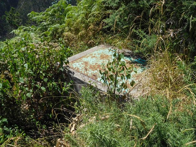 Levada da Negra (e Curral Martinho) — Die letzten Meter — Foto 2