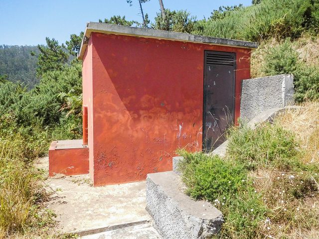 14 August 2017 Levada do Pico do Curral and da Serra de Santo António — On through gorse and through the wood to Barreira — photo 27
