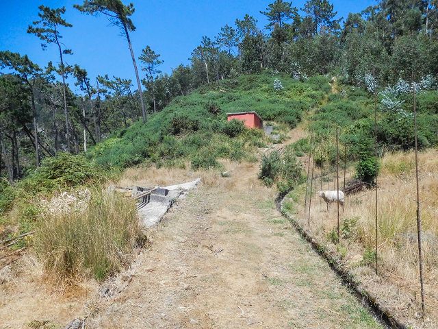 Levada da Negra (e Curral Martinho) — Die letzten Meter — Foto 3